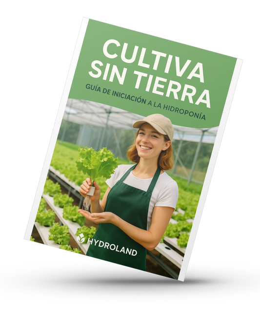Cultiva sin tierra: Guía de iniciación a la hidroponía